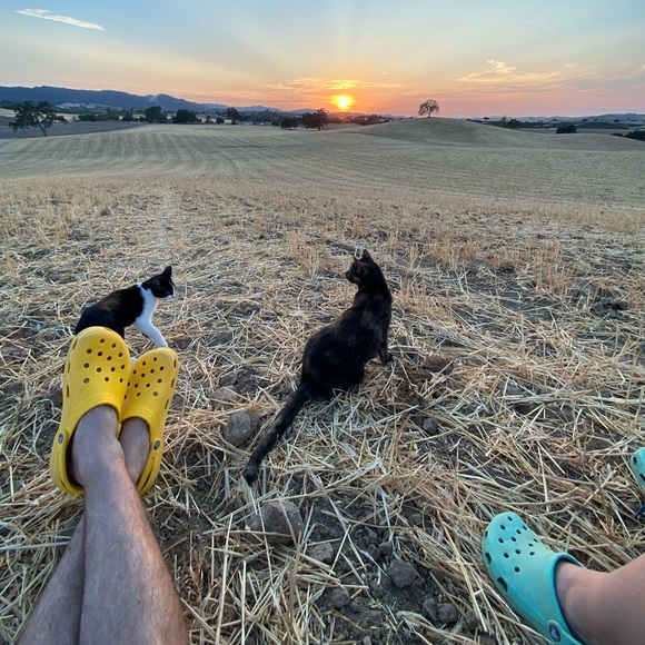 Meet your Poshers, Linda & Dan - Picture 9 of 9